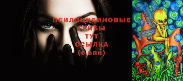 первитин Белокуриха