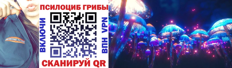 купить наркоту  ОМГ ОМГ   Галлюциногенные грибы Psilocybe  Великий Устюг 