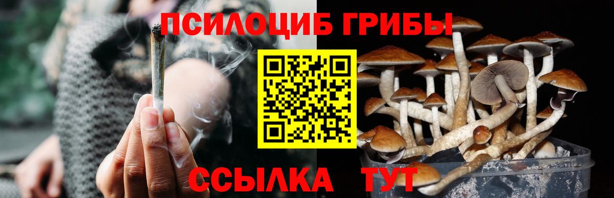 Галлюциногенные грибы мицелий  Вход с VPN  купить наркотик  Великий Устюг 